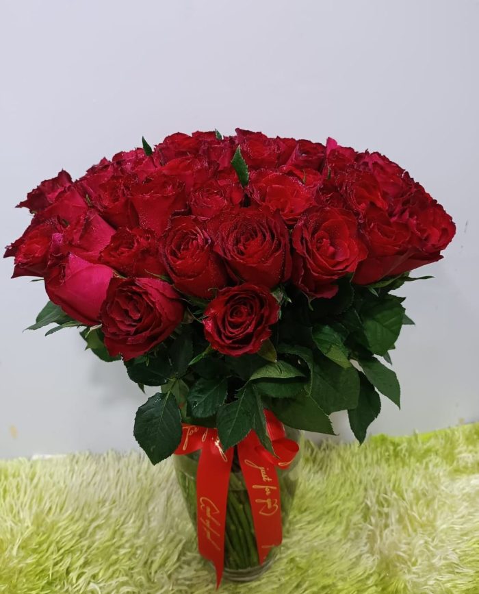 Red roses in a Vase