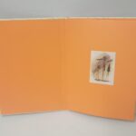 Executive Message Card