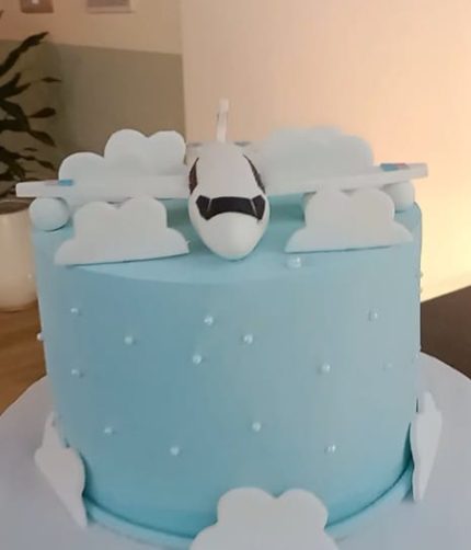 Plane themed cake